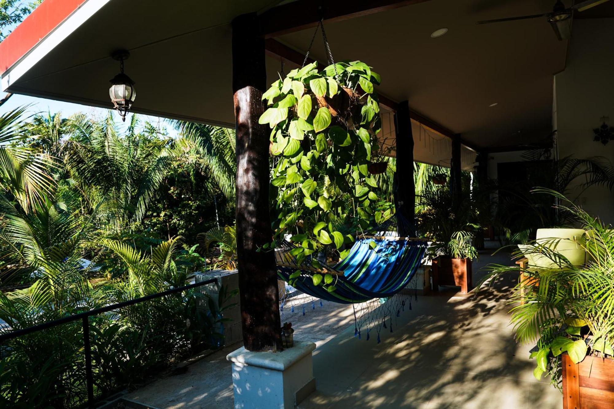 House In The Palm Forest Puerto Carrillo Bagian luar foto