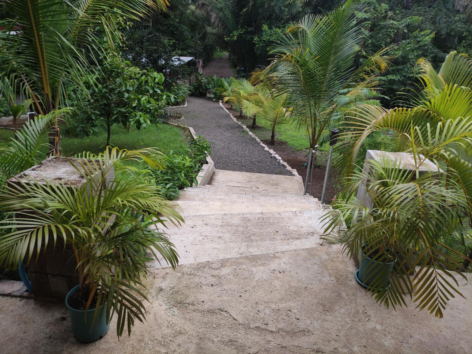 House In The Palm Forest Puerto Carrillo Bagian luar foto